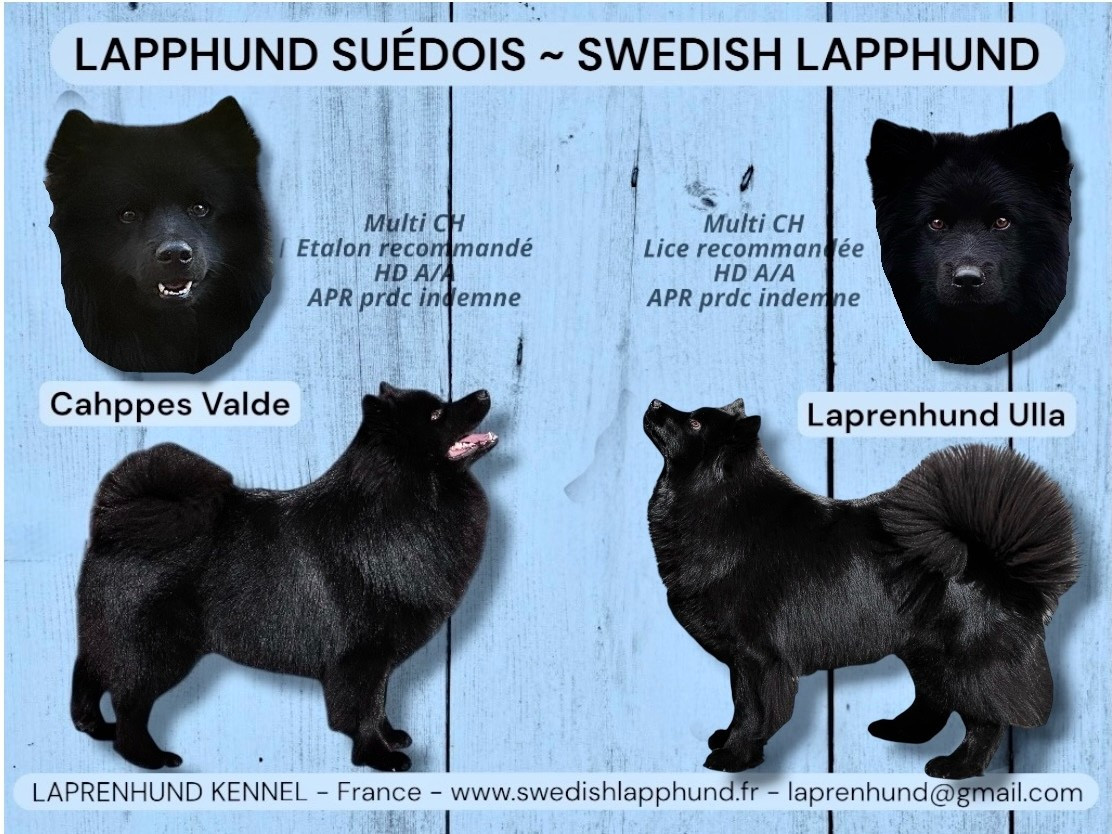 Naissances attendues deuxième quinzaine d'avril